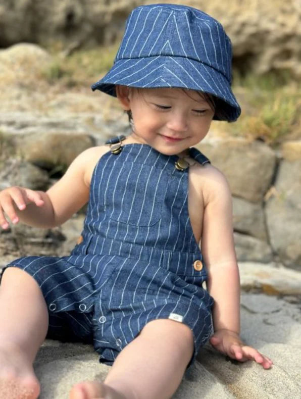 Chambray Stripe Overalls