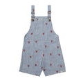 Lobster Seersucker Overalls