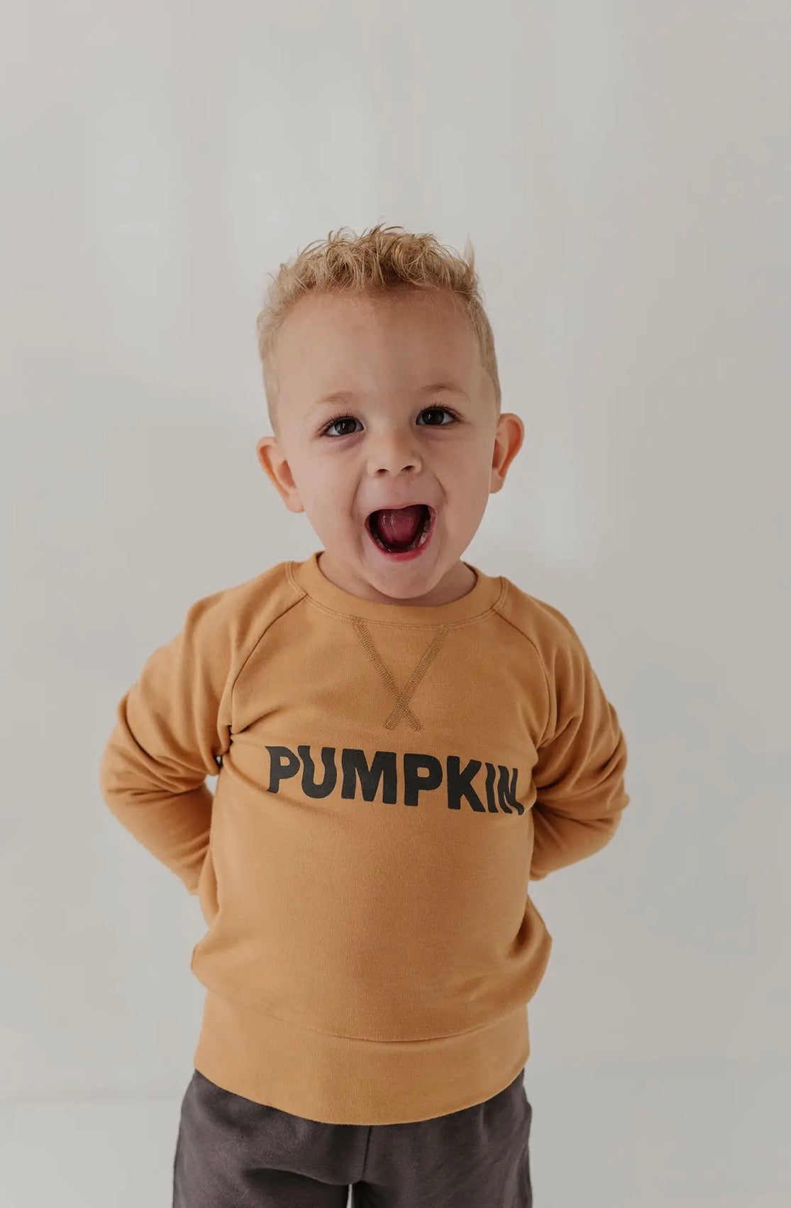 Pumpkin Sweatshirt