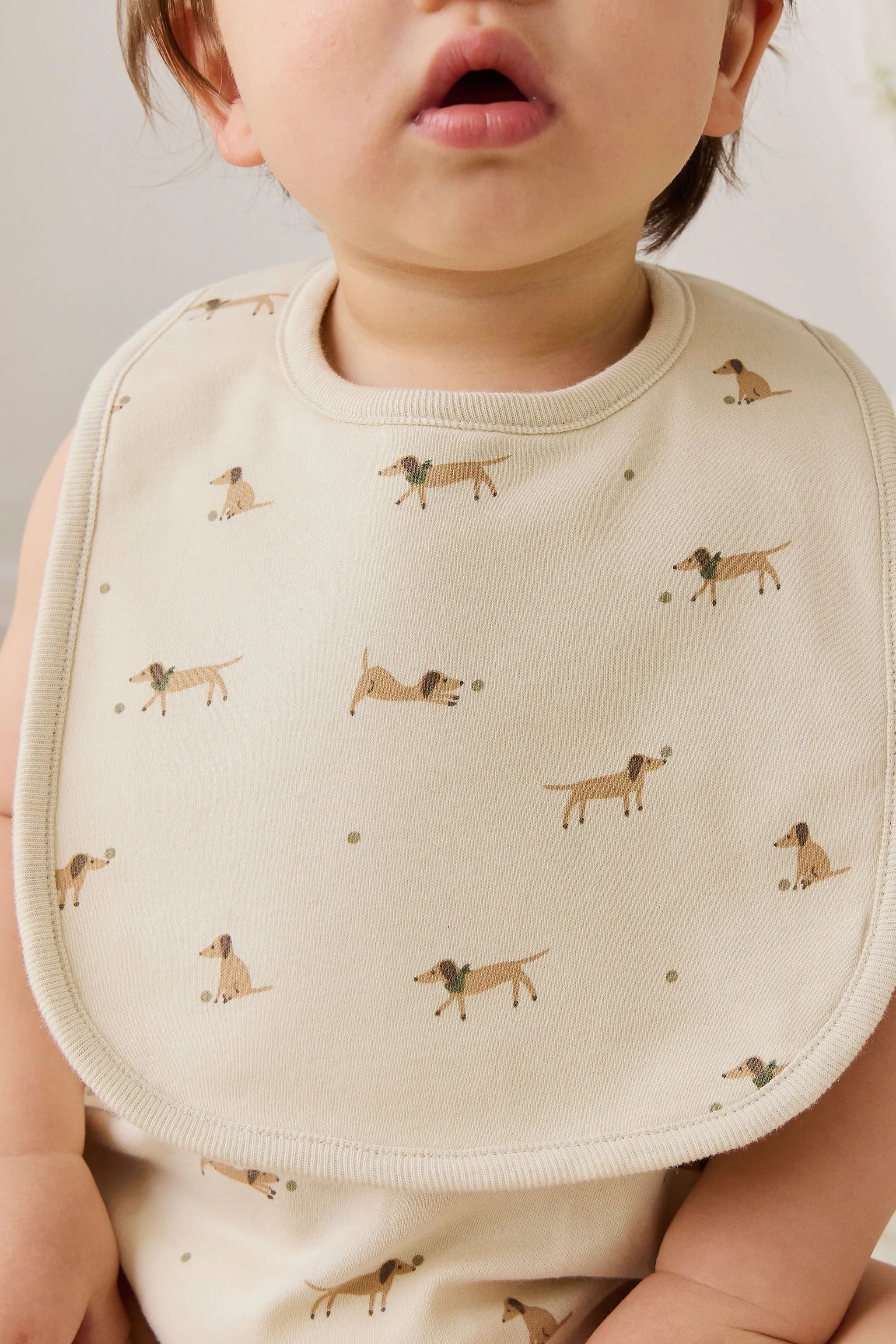 Play Ball Organic Bib